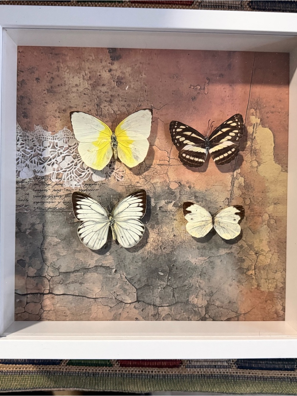 Framed Butterfly Wall Art - White & Yellow Accents